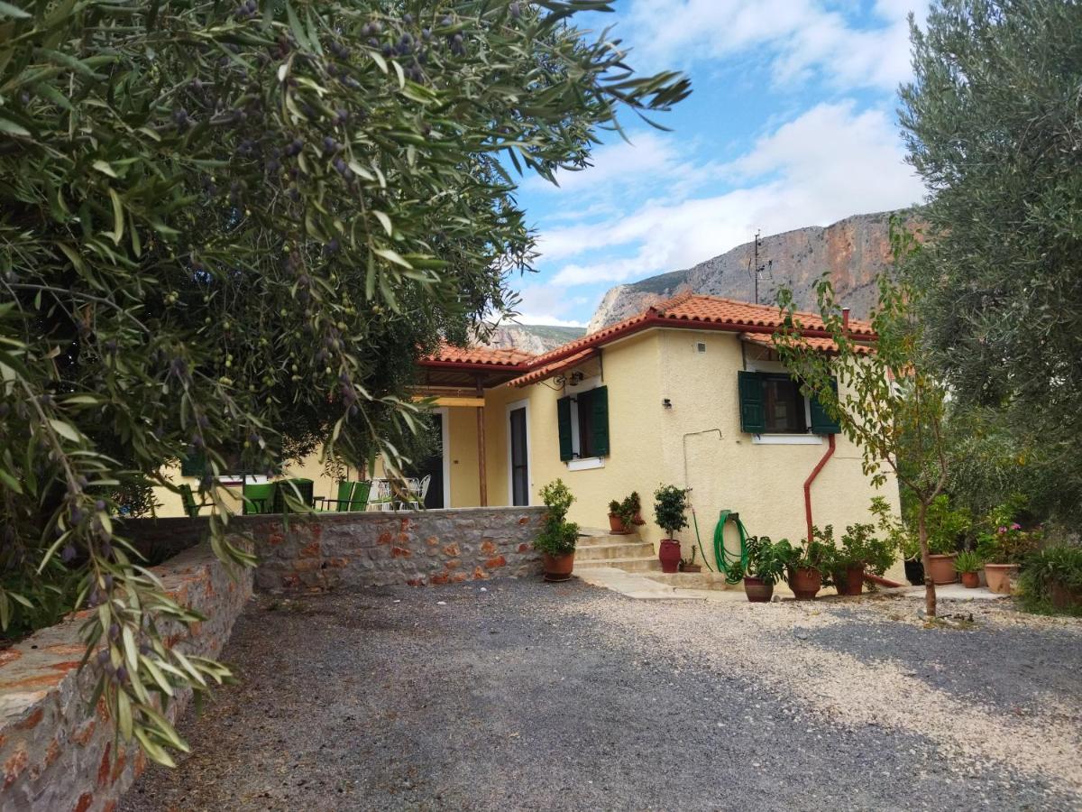 Rodomelo House - 3 Bedrooms Leonídion 외부 사진